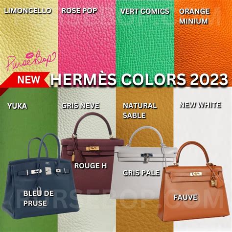 hermes cactus color|Hermes bag colors chart.